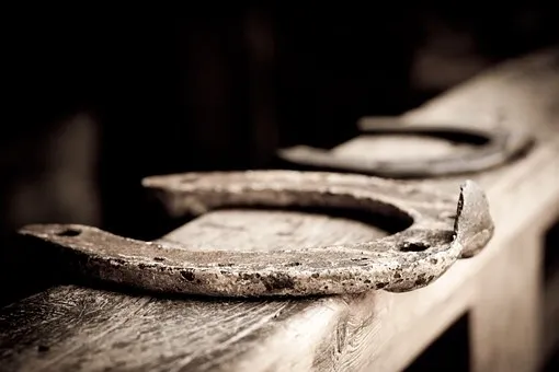 horse-shoe-110987__340